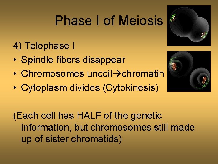 MEIOSIS Making gametes for reproduction Meiosis Type of