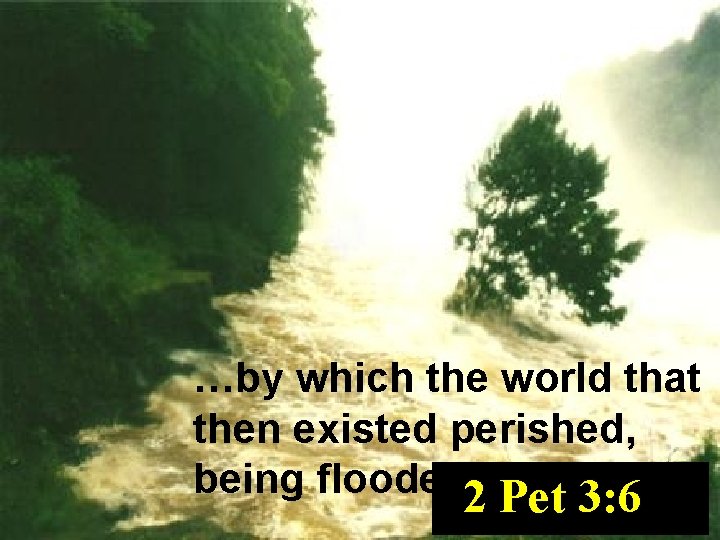 …by which the world that then existed perished, being flooded 2 with water. Pet