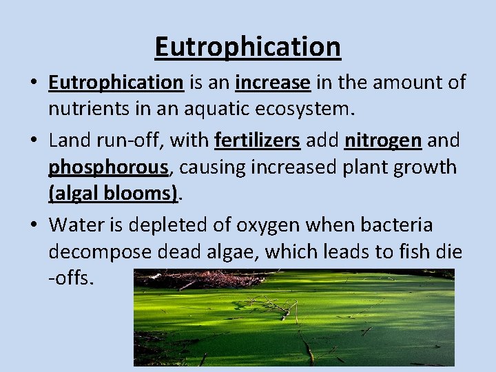 Eutrophication • Eutrophication is an increase in the amount of nutrients in an aquatic Eutrophication • Eutrophication is an increase in the amount of nutrients in an aquatic