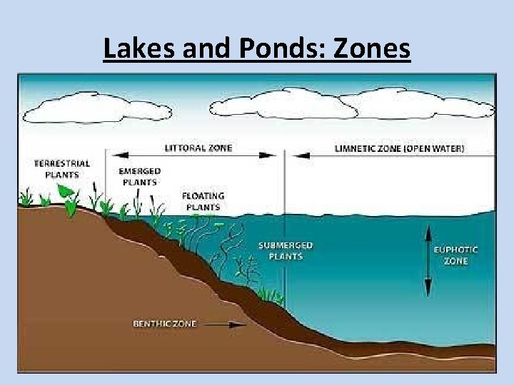 Lakes and Ponds: Zones Lakes and Ponds: Zones