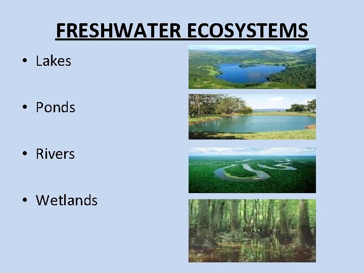 FRESHWATER ECOSYSTEMS • Lakes • Ponds • Rivers • Wetlands FRESHWATER ECOSYSTEMS • Lakes • Ponds • Rivers • Wetlands