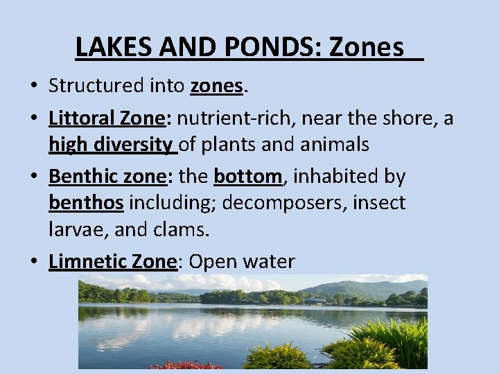 LAKES AND PONDS: Zones • Structured into zones. • Littoral Zone: nutrient-rich, near the LAKES AND PONDS: Zones • Structured into zones. • Littoral Zone: nutrient-rich, near the