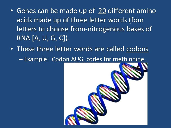  • Genes can be made up of 20 different amino acids made up