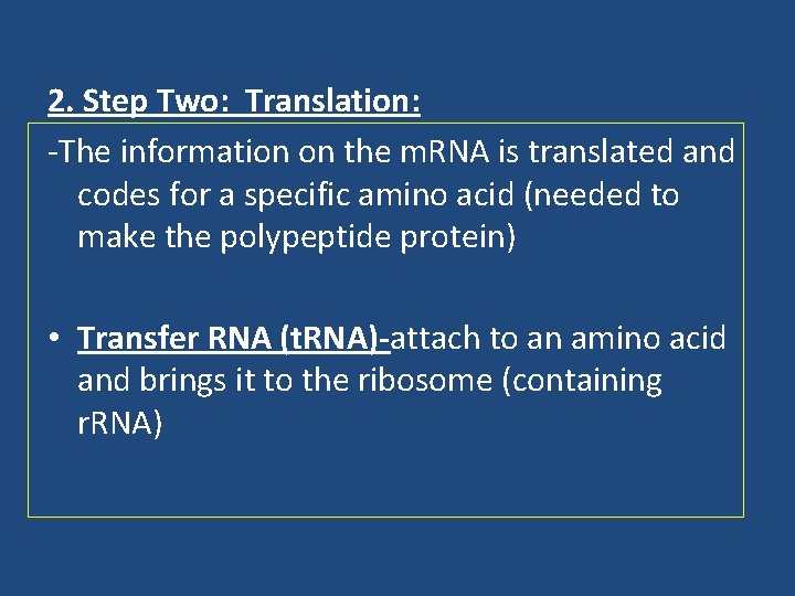 2. Step Two: Translation: -The information on the m. RNA is translated and codes