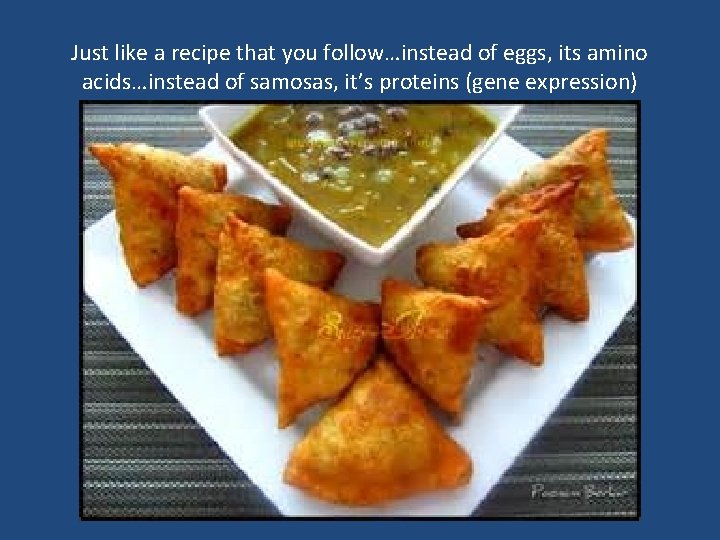 Just like a recipe that you follow…instead of eggs, its amino acids…instead of samosas,