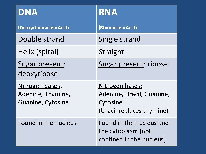 DNA RNA (Deoxyribonucleic Acid) (Ribonucleic Acid) Double strand Single strand Helix (spiral) Straight Sugar