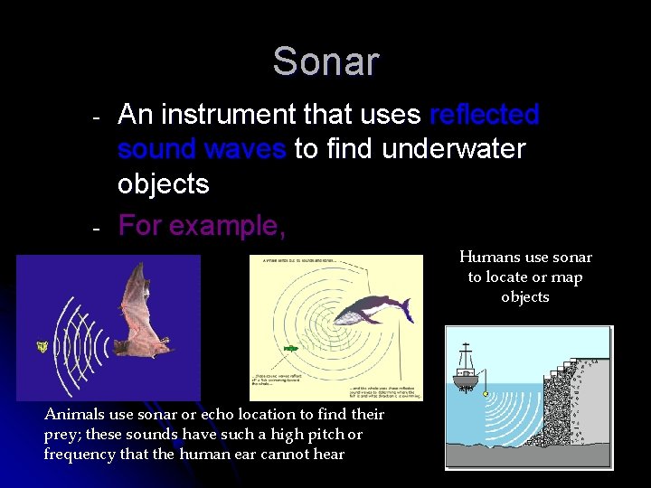 Sonar - - An instrument that uses reflected sound waves to find underwater objects