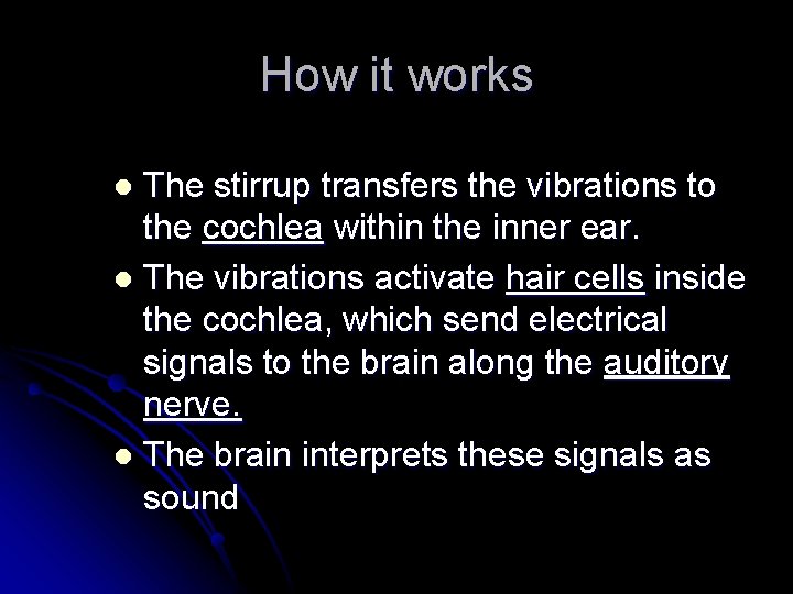 How it works The stirrup transfers the vibrations to the cochlea within the inner