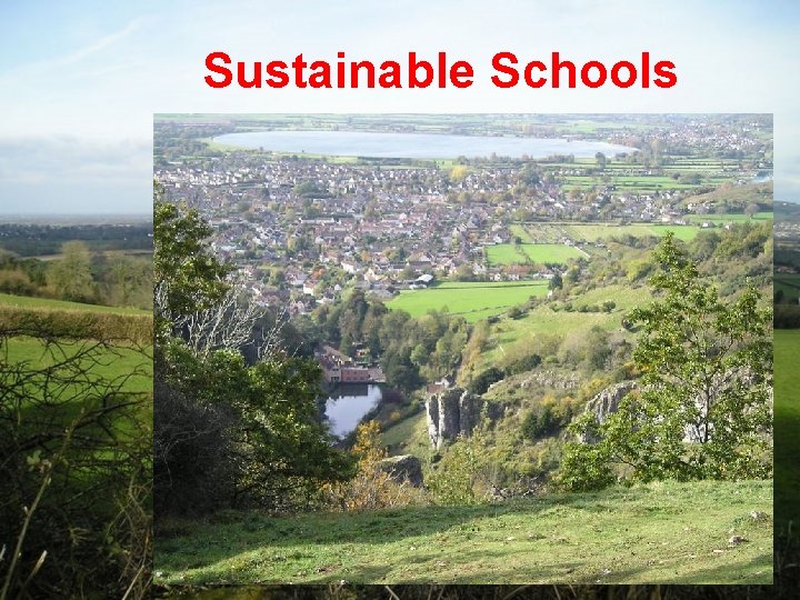 Sustainable Schools 
