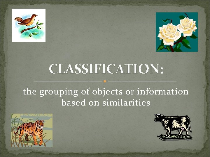 CLASSIFICATION: the grouping of objects or information based on similarities 