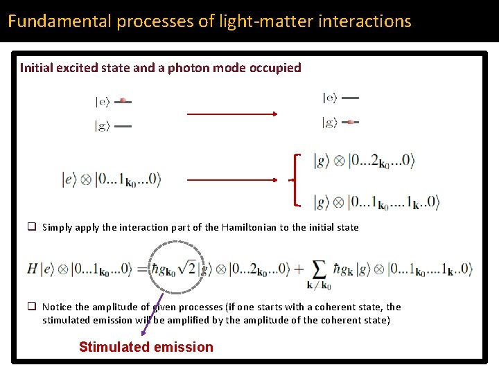 Fundamental processes of light-matter interactions Initial excited state and a photon mode occupied q