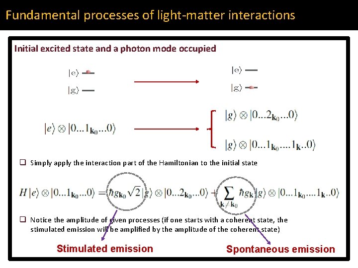 Fundamental processes of light-matter interactions Initial excited state and a photon mode occupied q