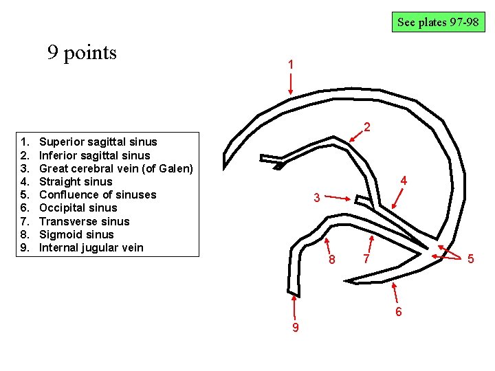 See plates 97 -98 Venous Sinuses Drawing 9 points 1 2 1. 2. 3.