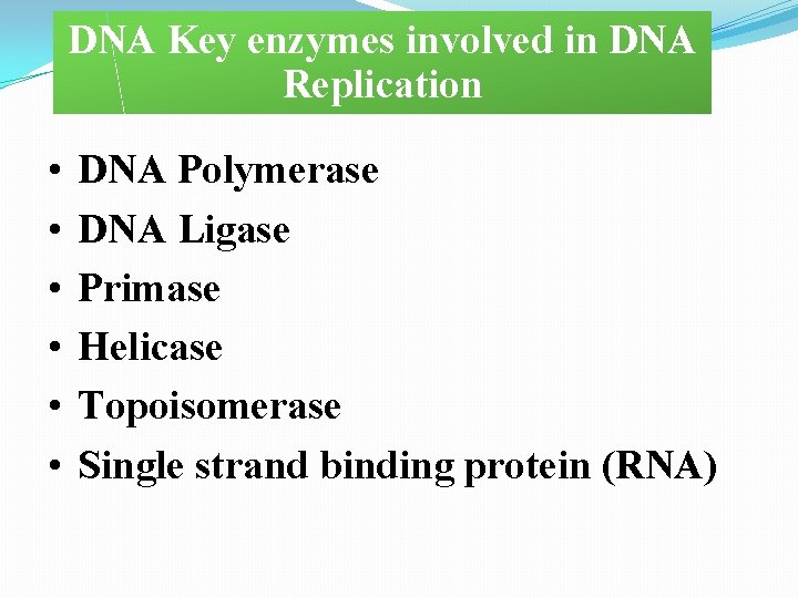 DNA Key enzymes involved in DNA Replication • • • DNA Polymerase DNA Ligase