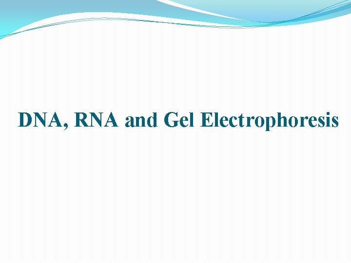 DNA, RNA and Gel Electrophoresis 