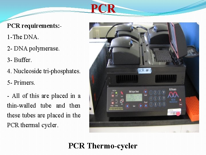 PCR requirements: 1 -The DNA. 2 - DNA polymerase. 3 - Buffer. 4. Nucleoside