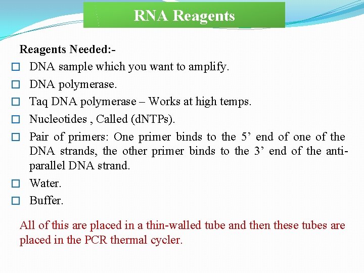 RNA Reagents Needed: � DNA sample which you want to amplify. � DNA polymerase.