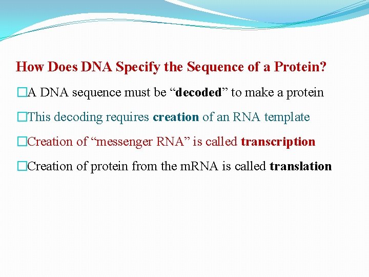How Does DNA Specify the Sequence of a Protein? �A DNA sequence must be