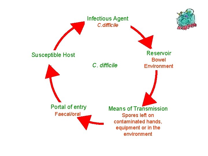 Infectious Agent C. difficile Reservoir Susceptible Host C. difficile Portal of entry Faecal/oral Bowel