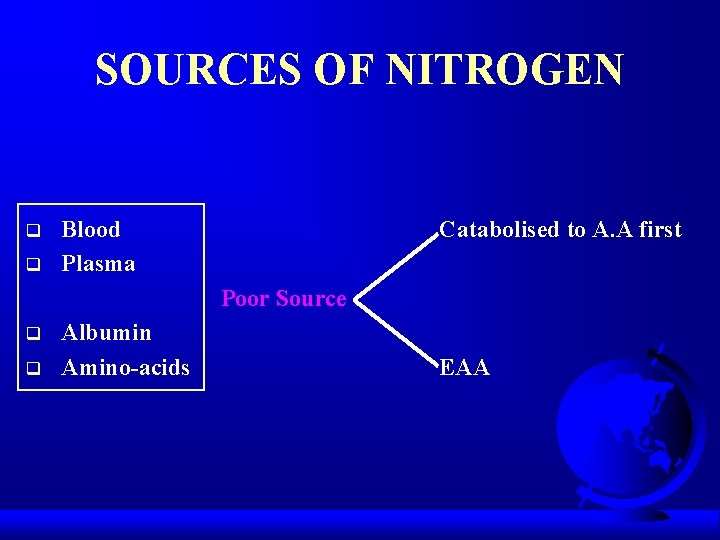 SOURCES OF NITROGEN q q Blood Plasma Catabolised to A. A first Poor Source