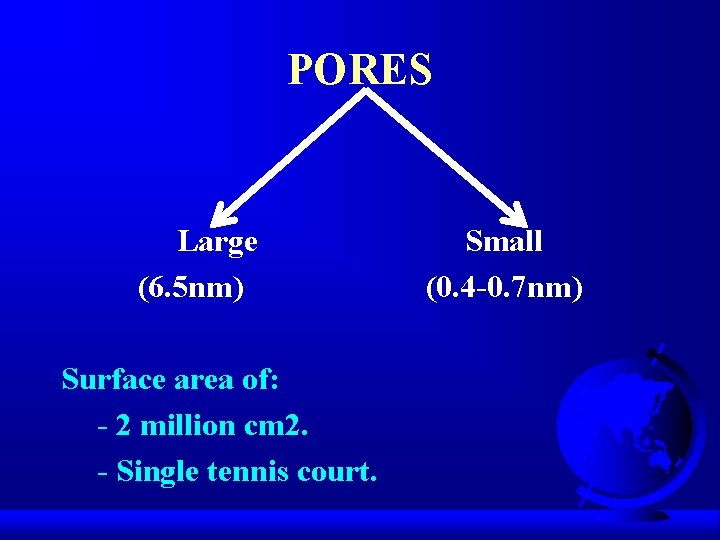 PORES Large (6. 5 nm) Surface area of: - 2 million cm 2. -