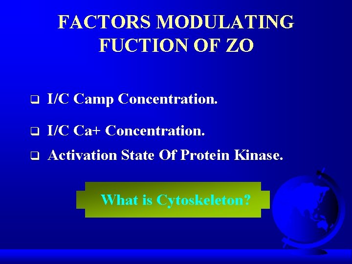 FACTORS MODULATING FUCTION OF ZO q I/C Camp Concentration. q I/C Ca+ Concentration. q