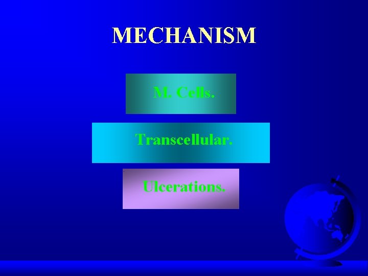 MECHANISM M. Cells. Transcellular. Ulcerations. 