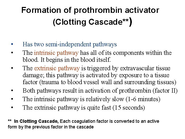 Formation of prothrombin activator (Clotting Cascade**) • • • Has two semi-independent pathways The