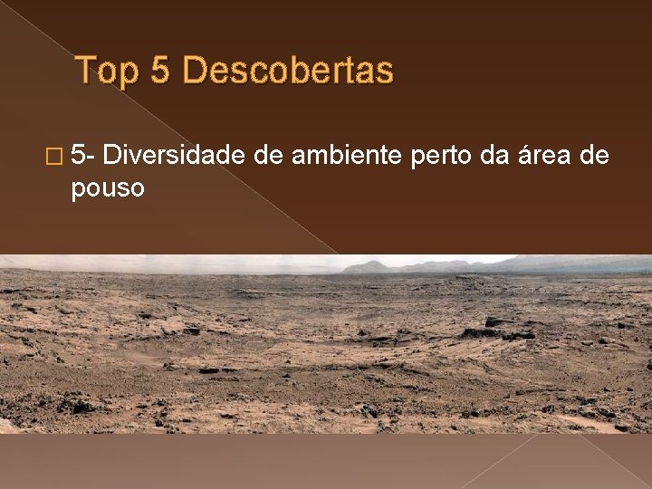 Top 5 Descobertas � 5 - Diversidade de ambiente perto da área de pouso