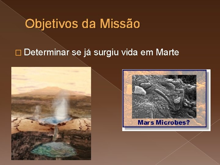 Objetivos da Missão � Determinar se já surgiu vida em Marte 