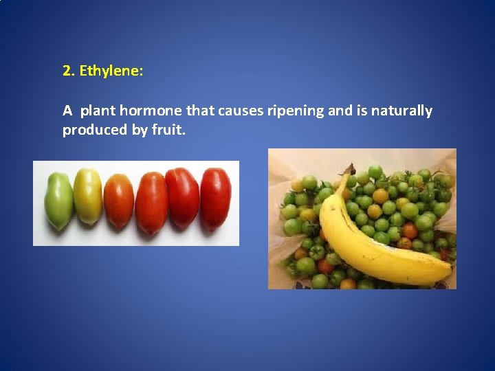 2. Ethylene: A plant hormone that causes ripening and is naturally produced by fruit.