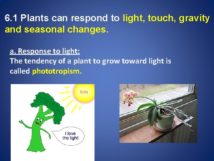 6. 1 Plants can respond to light, touch, gravity and seasonal changes. a. Response