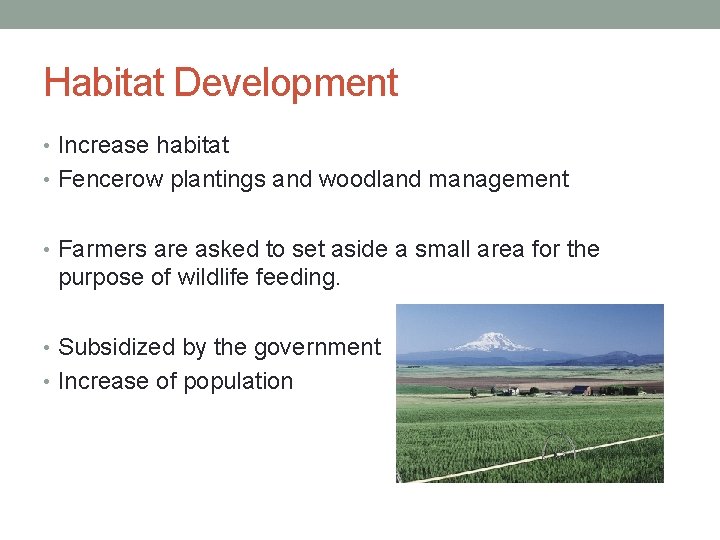 Habitat Development • Increase habitat • Fencerow plantings and woodland management • Farmers are