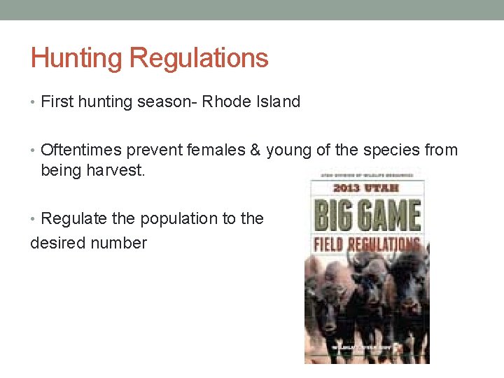 Hunting Regulations • First hunting season- Rhode Island • Oftentimes prevent females & young