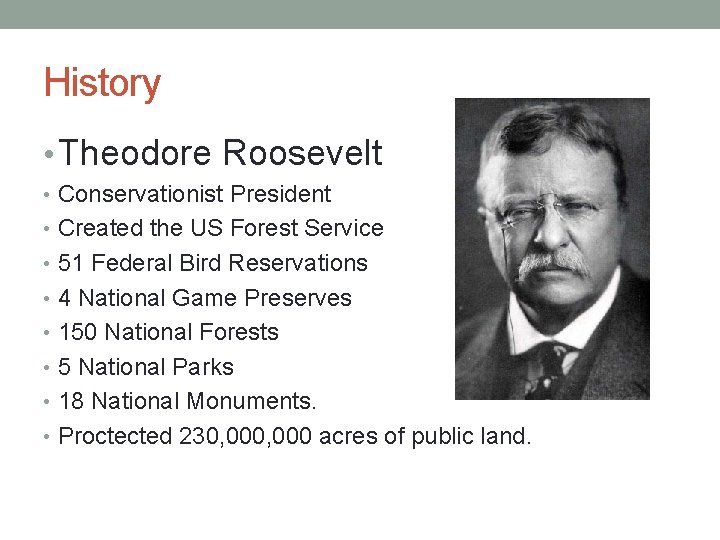 History • Theodore Roosevelt • Conservationist President • Created the US Forest Service •