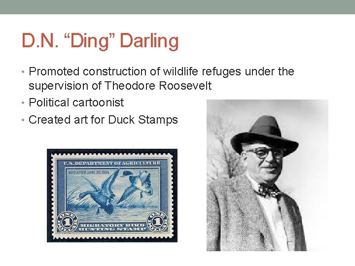 D. N. “Ding” Darling • Promoted construction of wildlife refuges under the supervision of