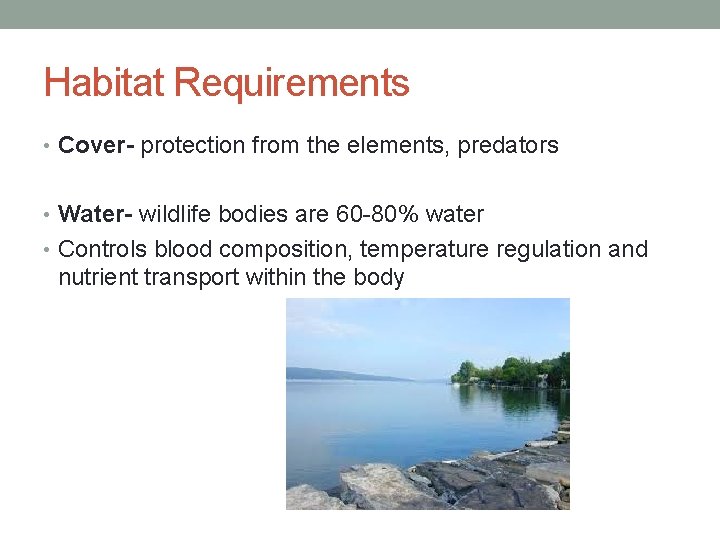 Habitat Requirements • Cover- protection from the elements, predators • Water- wildlife bodies are