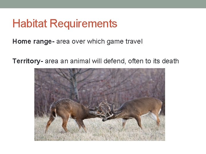 Habitat Requirements Home range- area over which game travel Territory- area an animal will