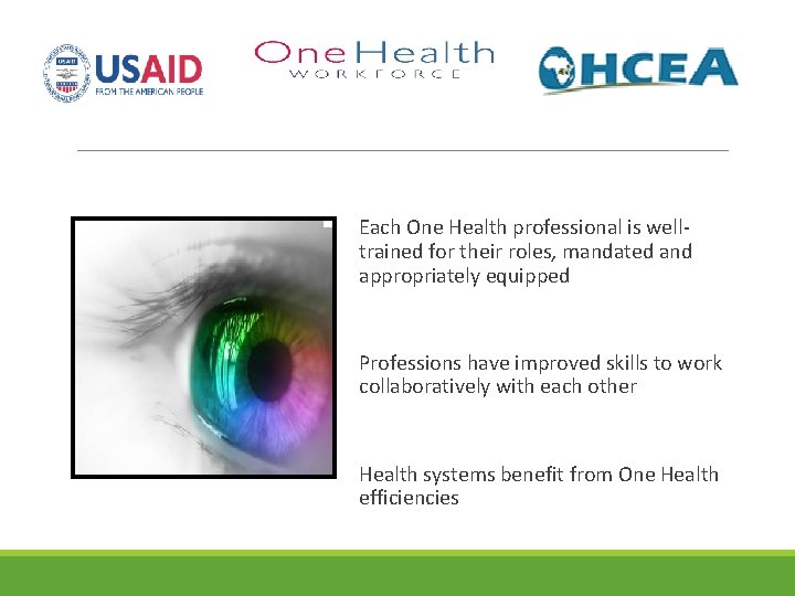 Each One Health professional is welltrained for their roles, mandated and appropriately equipped Professions