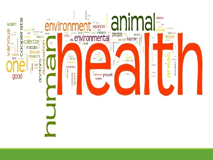 SEAOHUN WORDLE 5 