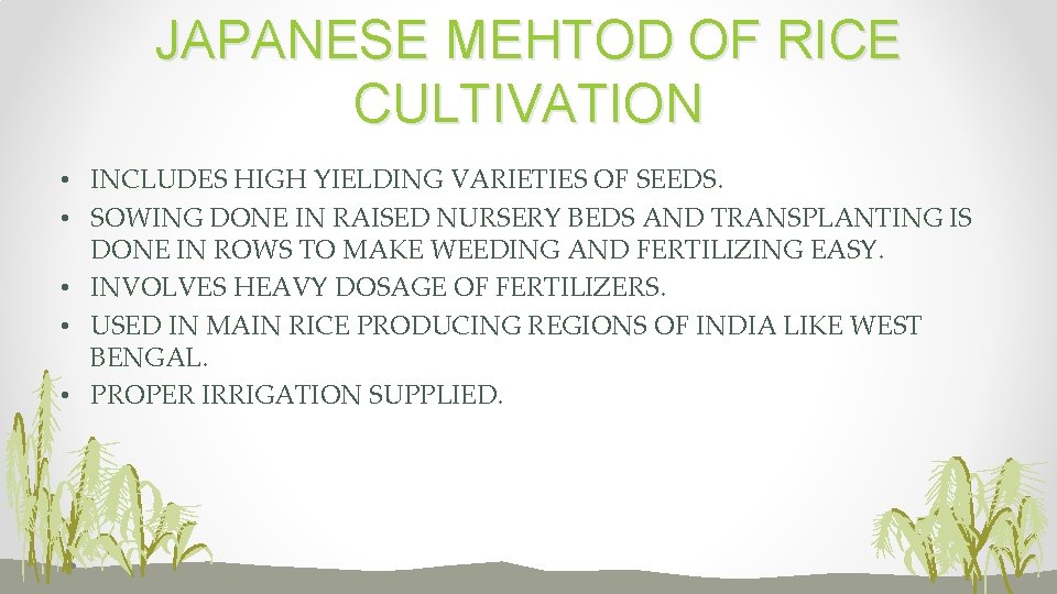 JAPANESE MEHTOD OF RICE CULTIVATION • INCLUDES HIGH YIELDING VARIETIES OF SEEDS. • SOWING