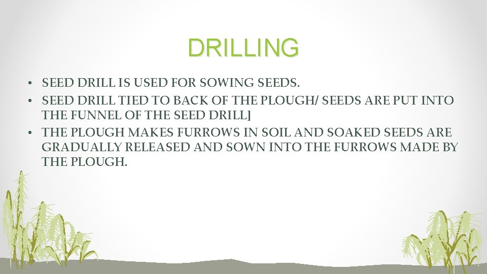 DRILLING • SEED DRILL IS USED FOR SOWING SEEDS. • SEED DRILL TIED TO