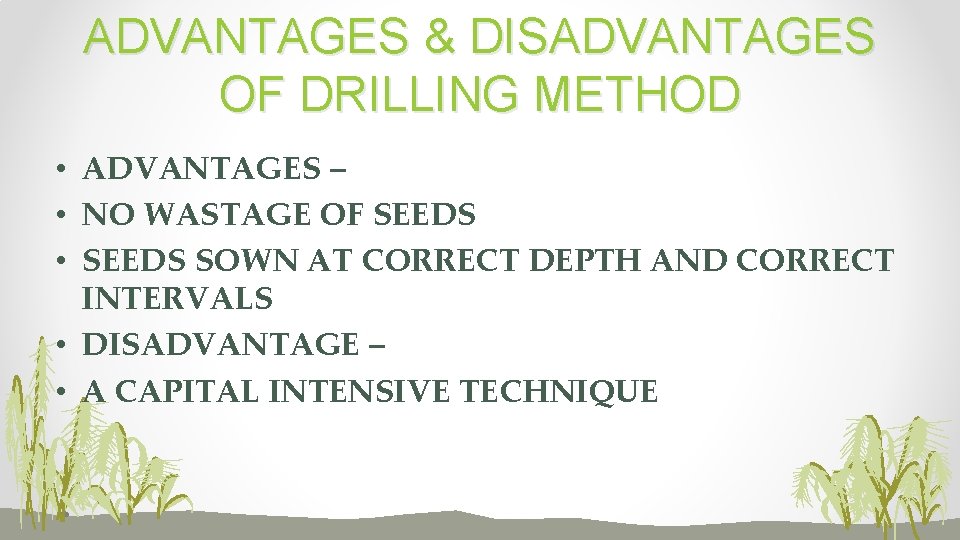 ADVANTAGES & DISADVANTAGES OF DRILLING METHOD • ADVANTAGES – • NO WASTAGE OF SEEDS