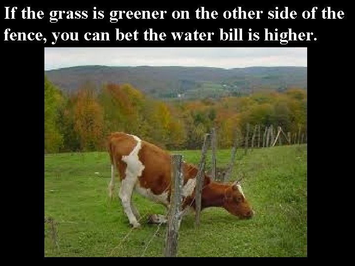 If the grass is greener on the other side of the fence, you can