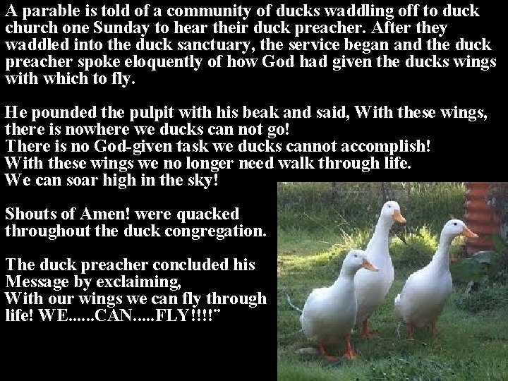 A parable is told of a community of ducks waddling off to duck church A parable is told of a community of ducks waddling off to duck church
