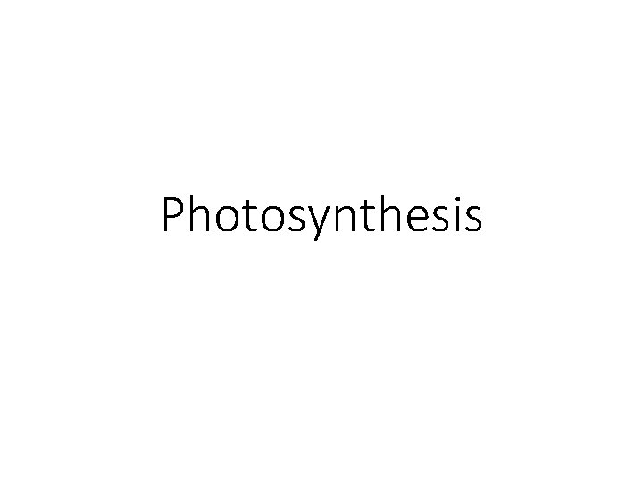 Photosynthesis 