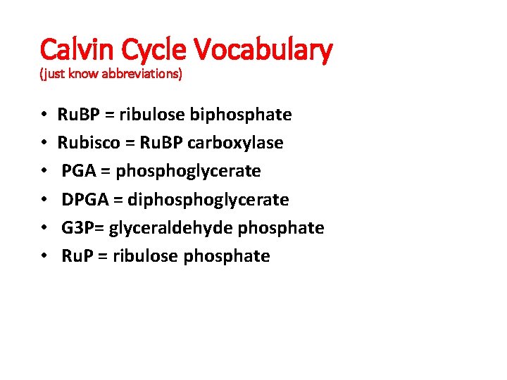 Calvin Cycle Vocabulary (just know abbreviations) • • • Ru. BP = ribulose biphosphate