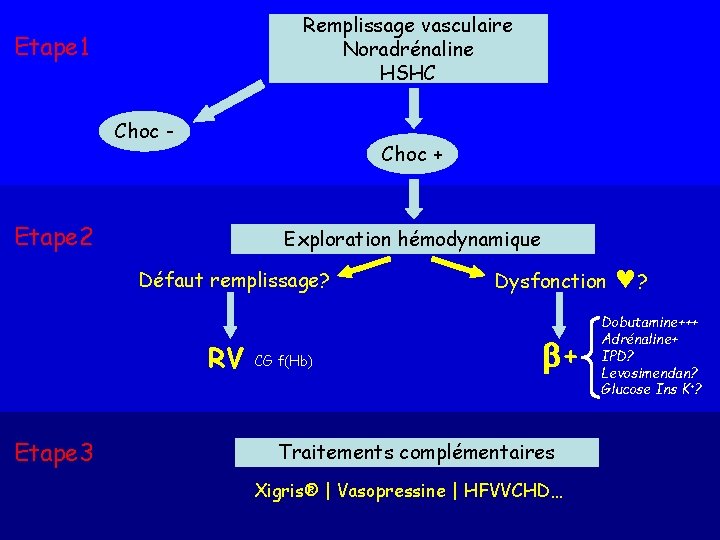 Remplissage vasculaire Noradrénaline HSHC Etape 1 Choc - Choc + Etape 2 Exploration hémodynamique