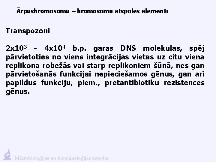 Ārpushromosomu – hromosomu atspoles elementi Transpozoni 2 x 103 - 4 x 104 b.