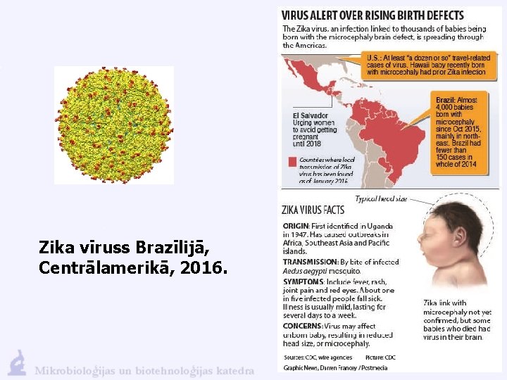 Zika vīruss Brazīlijā, Centrālamerikā, 2016. 